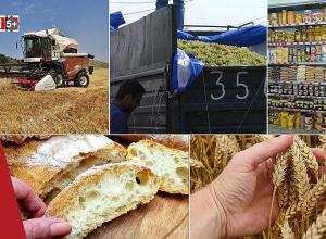 Հայաստանը՝ պարենային անվտանգության մարտահրավեր առաջ․ Ռեգիոն 5+