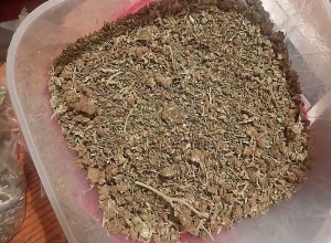 Борьба сотрудников криминальной полиции с преступностью