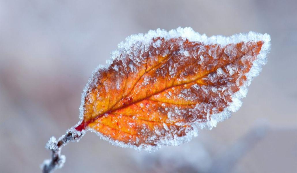 cold