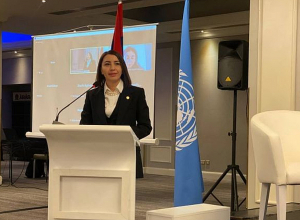 Ո՞րքան կարելի է բնակչության միայն կեսի ինտելեկտի վրա հիմնել ամբողջ բնակչության անվտանգությունը․ ՄԻՊ