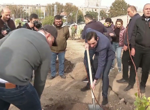 Նիկոլ Փաշինյանն աղջիկների ու կնոջ հետ ծառ է տնկել