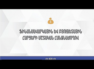 Внеочередное заседание Постоянной комиссии НС по финансово-кредитным и бюджетным вопросам: Прямой эфир