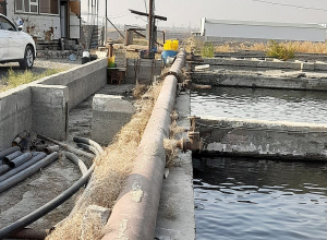 Կասեցվել է ապօրինի ջրառը