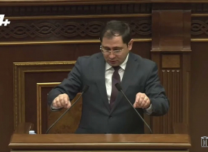 Քաղաքական գործիչներ կան, որոնց երեխաները ծնվում են արտերկրում, որպեսզի բանակում չծառայեն. Պապիկյան