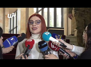 Брифинг Агнессы Хамоян: Прямой эфир