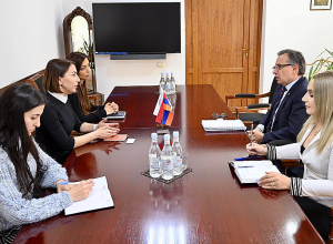 На государственном уровне нет плана действий по борьбе с домашним насилием: Омбудсмен - послу