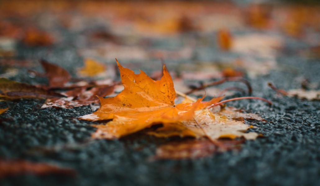 autumn