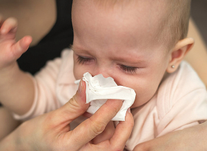 Հանրապետությունում շարունակվում է սեզոնային գրիպի Ա տեսակի H1pdm09 ենթատեսակի շրջանառությունը. ԱՆ