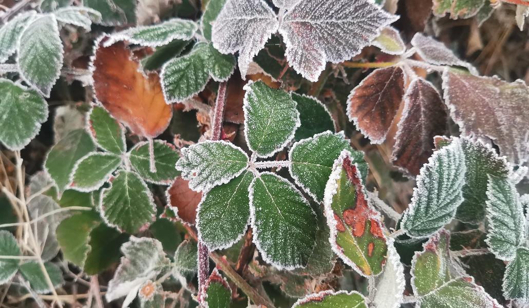 cold, weather (3)