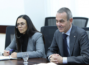 Аванесян обсудила проблему перекрытия Лачинского коридора с главой Красного Креста Тьерри Рибо