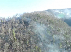 Հրդեհ «Ճապկուտ» կոչվող հանդամասում․ թարմացված