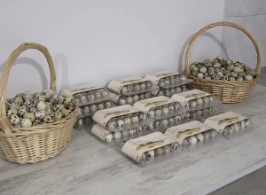 Արդյունագործական խեցգետնաբուծությունը՝ Հայաստանում