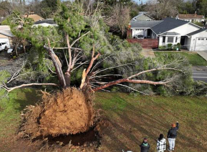 Президент США Джо Байден объявил режим ЧС в Калифорнии из-за шторма