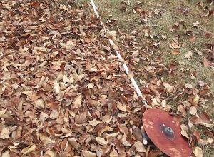 Полиция Кумаири раскрыла случаи кражи