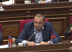 Предполагаю, что оппозиция голосует, чтобы не лишиться зарплаты: Рубинян - оппозиции