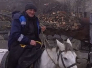 Жизнь на юге