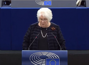 Դուք ցածրից էլ ցածր եք իջել,ես չեմ իջնի ձեր մակարդակին. Եվրախորհրդարանի պատգամավորը դիմեց Ադրբեջանին