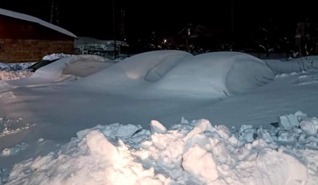 FB_IMG_1675916320530