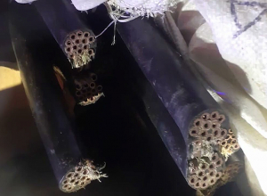 Գողություն «Նաիրիտ» գործարանից  պարեկների գիշերային բացահայտումը