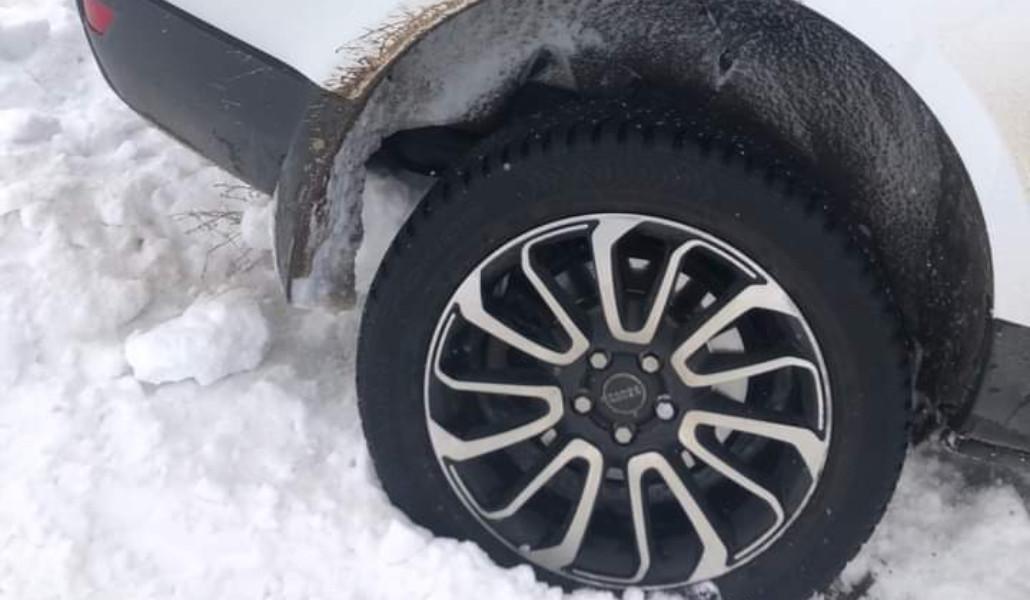 FB_IMG_1676521015676