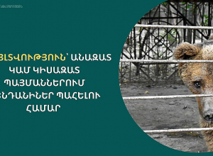 Վայրի կենդանիներ պահող անձինք մինչեւ ապրիլի 1-ը պարտավոր են դիմել լիազոր մարմնին եւ թույլտվություն ստանալ
