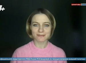 Когда они говорят об исключительно гражданском характере наблюдательной миссии ЕС, они лукавят: МИД РФ