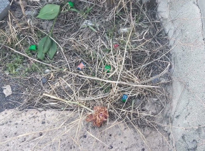 Задержан молодой человек, который разместил наркотики на кладбище: полиция Эребуни раскрыла преступление