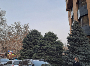 Սպասվում են թույլ տեղումներ