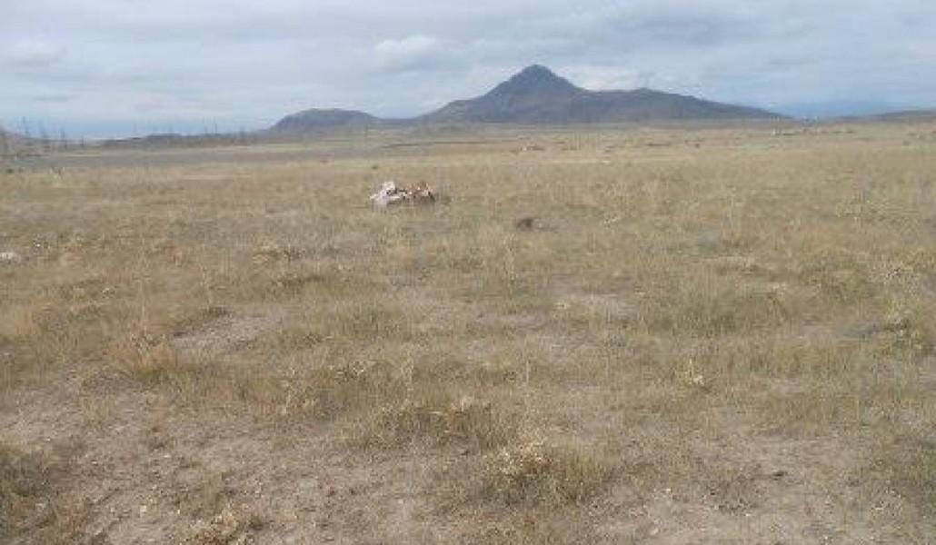 main_162261259960b71a773fc69