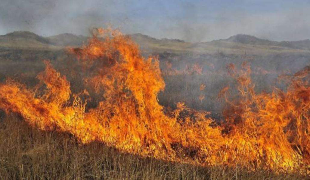 331979578_225314609869541_8127823192083959630_n