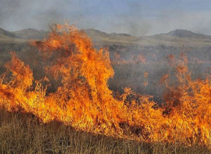 Սյունիքի բնակչությանը կոչ է արվում այգիներում կրակ չվառել