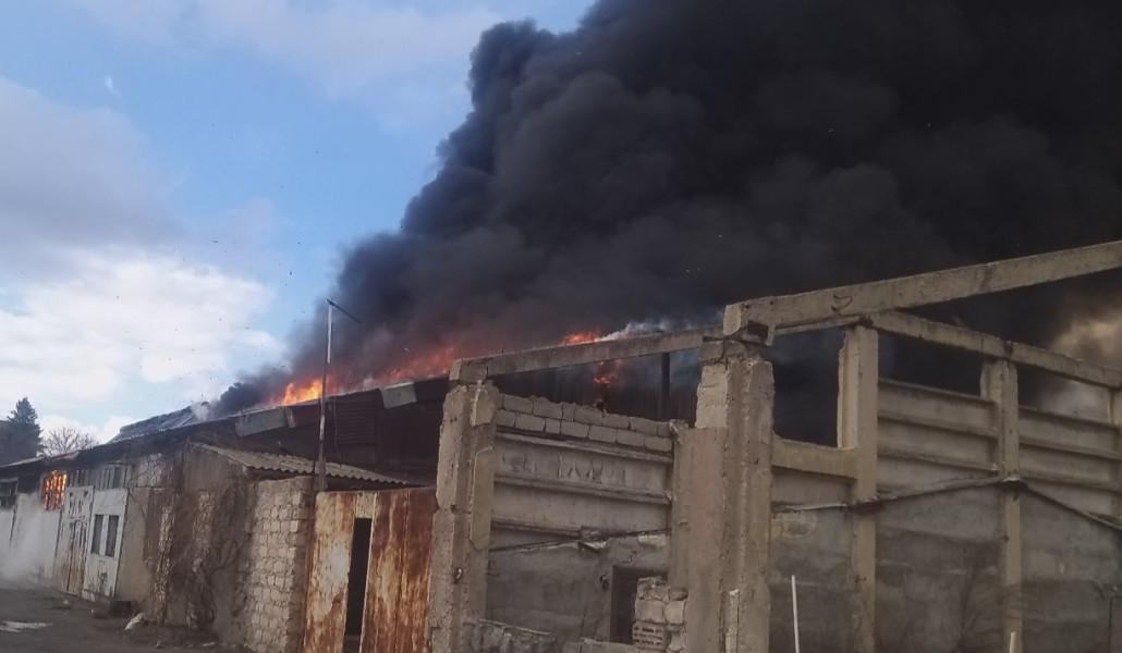 336509302_568441885382288_2649686325767440730_n