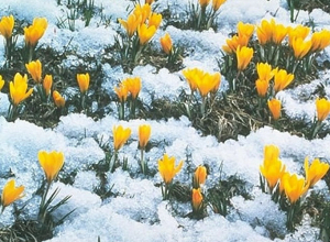 Գորիսում մառախուղ է․ «Մեղրու սար» կոչվող հատվածում տեղում է ձյուն