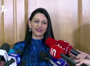 Брифинг кандидата в Омбудсмены Анаит Манасян