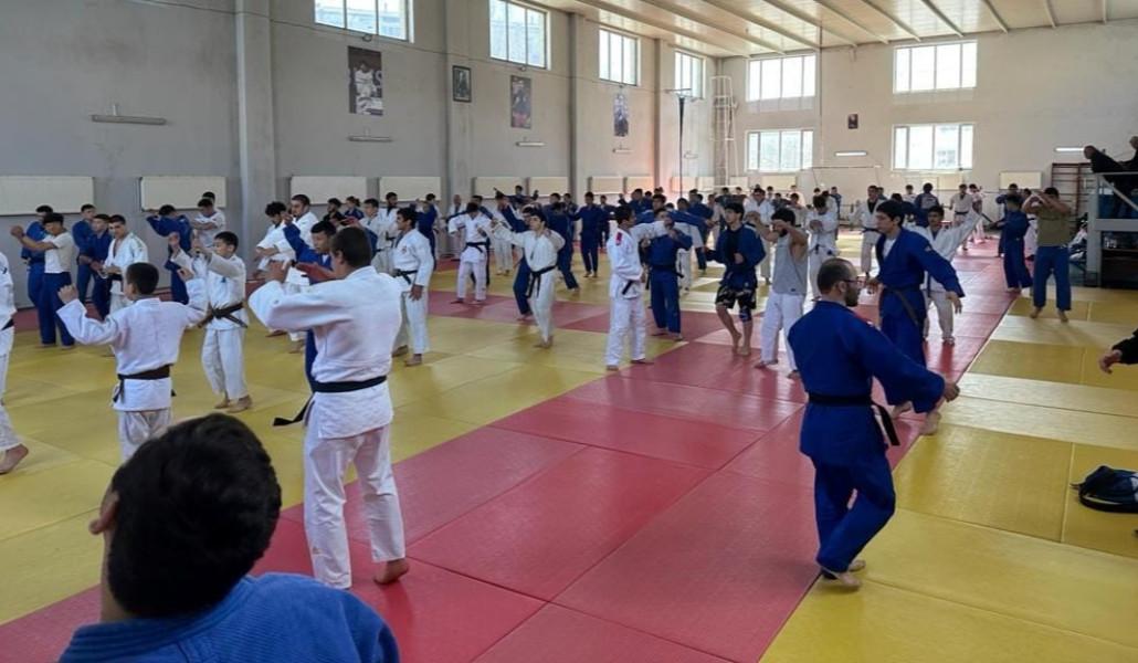 ձյուդոիստներ