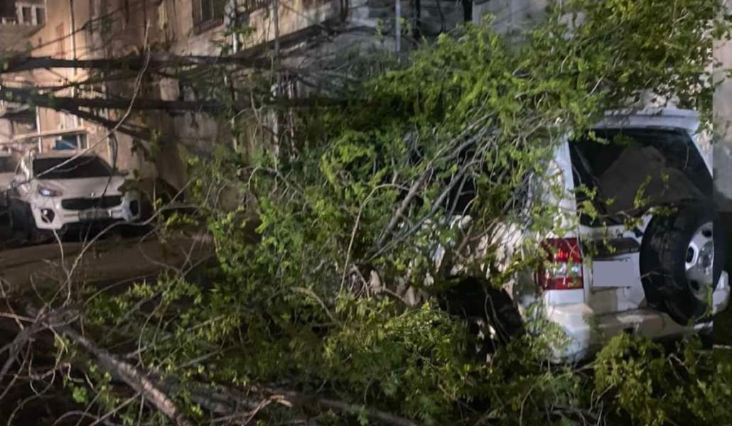 FB_IMG_1680753491626