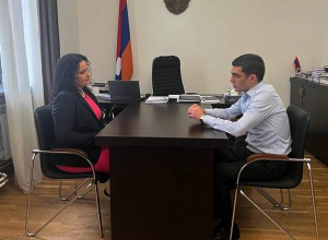 Министр ИД Арцаха и благотворитель Анна Аствацатурян-Теркотт обсудили гуманитарные проблемы, возникшие из-за блокады