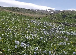 «Չկարողացա չկիսվել ձեզ հետ»․ Գագիկ Սուրենյանը տեսանյութ է հրապարկել