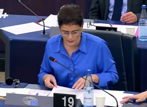 Լաչինի միջանցքի  վերաբերյալ ՄԻԵԴ եւ Հաագայի դատարանի որոշումը պետք է կատարվի․ ԵԽ ՆԿ նախագահ