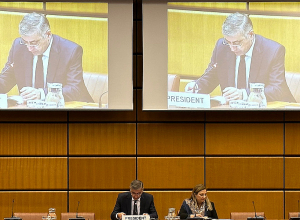 Դեսպան Արմեն Պապիկյանն ընտրվել է Վիեննայում ֆրանկոֆոն դեսպանների խմբի նախագահ