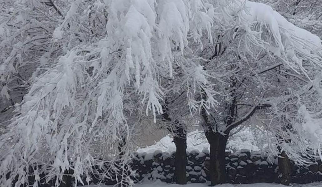 344761278_836577327959990_6200589896677475667_n