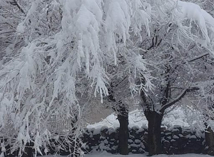 Մայիսյան ձմեռ․ Գագիկ Սուրենյանը լուսանկար է հրապարակել