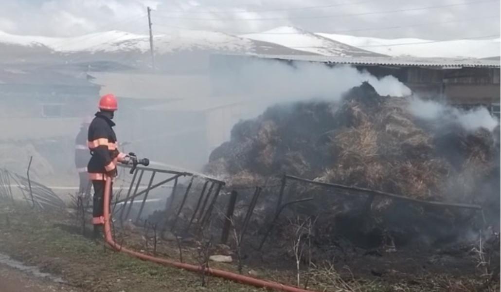 343761749_1195655267816906_8036198600051341921_n