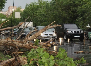 Երեւանում ծառն ընկել է՝ վնասելով հոսանքալարերը