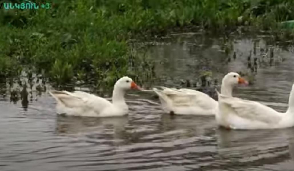 Screenshot 2023-05-22 232625