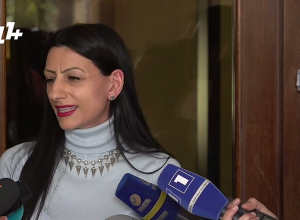 ՄԻՊ-ը՝ Գայանե Մարտիրոսյանի գործի մասին