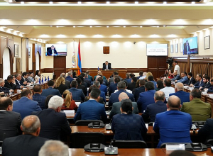 «Որևէ մեկի մտքի ծայրով չանցնի, որ իրենք այս մեթոդով նոր հողազավթումներ են կարողանալու անել». Ավինյանը՝ կենտրոնում ծառահատման մասին