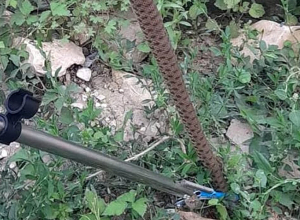 Մարտունի քաղաքի բնակելի տան մեջ օձ է հայտնվել