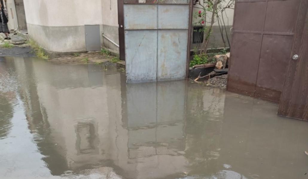 350934953_182999074721070_6971375245399384731_n