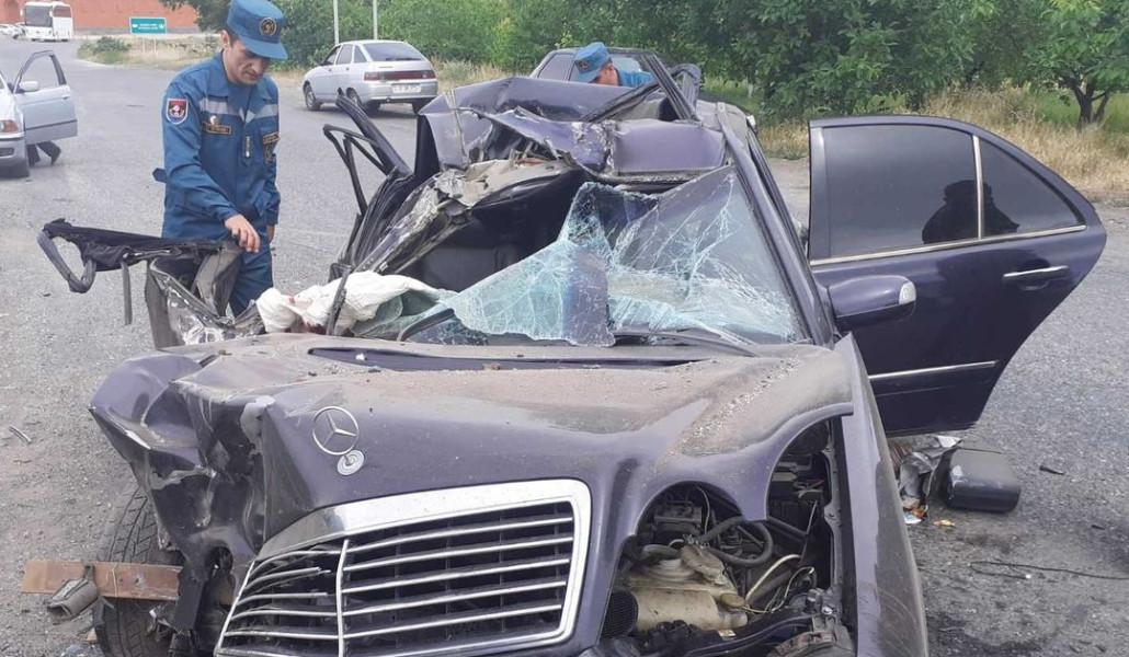 350695836_557675499865111_2868504641520861764_n